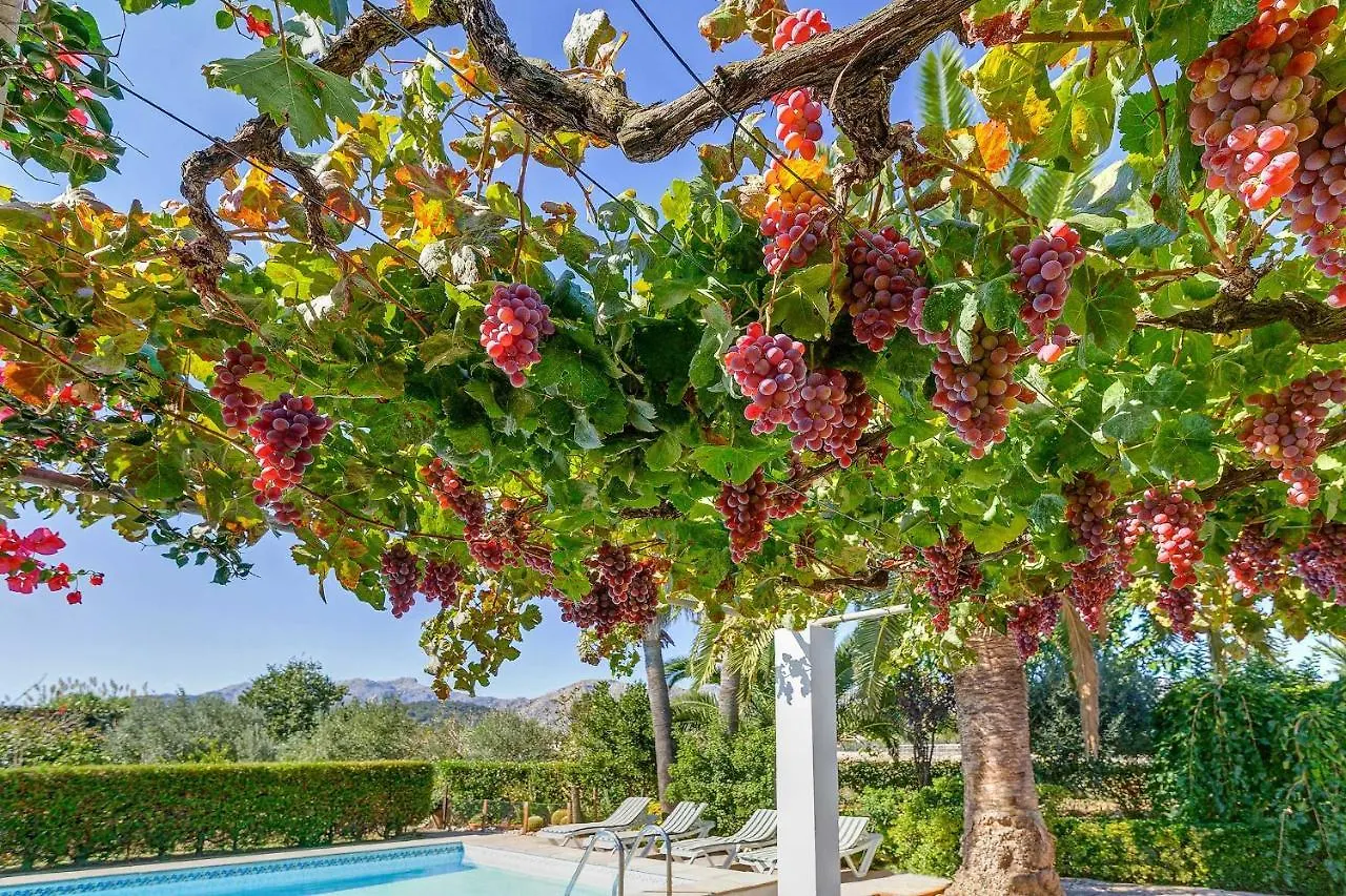 Villa Casa La Palmera Pollença Spanje